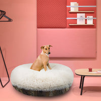 Calming Bagel Bed - Blondie and Wild Kingdom