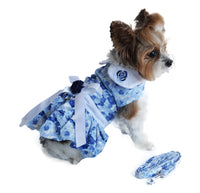 Blue Rose Dress with D-Ring and Matching Leash
