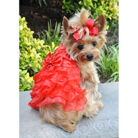 Christmas Red Satin Ruffled Dress with D Ring and Leash
