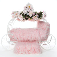 Flower Girl Carriage Dog Bed