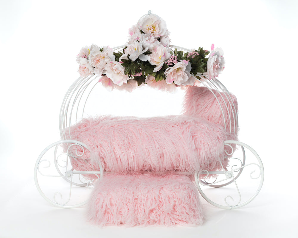 Flower Girl Carriage Dog Bed