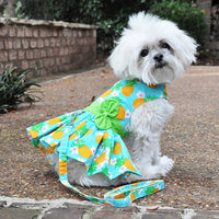 Pineapple Luau Dress with Leash & D-Ring
