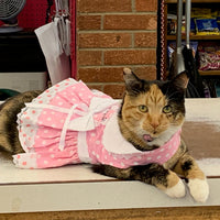 Pink Polka Dot and Lace Dog Dress Set with Leash