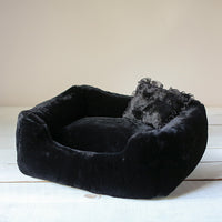 The Divine Dog Bed in White, Dove Grey, and Black
