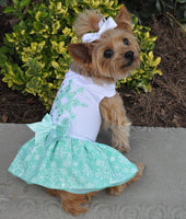 Turquoise Crystal Dress with Leash & D-Ring
