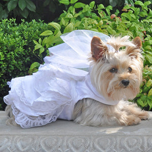 White Satin Wedding Dress, Headpiece, Leash & D-Ring