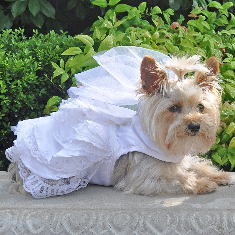 White Satin Wedding Dress, Headpiece, Leash & D-Ring