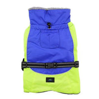 Alpine All-Weather Dog Coat - Blue and Green
