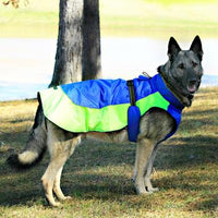 Alpine All-Weather Dog Coat - Blue and Green
