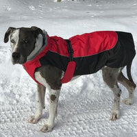 Alpine All-Weather Dog Coat - Red and Black
