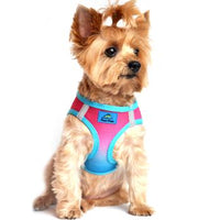 American River Choke Free Dog Harness Ombre Collection - Sugar Plum
