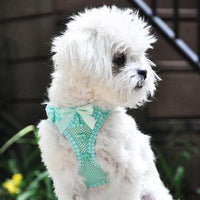 American River Choke Free Dog Harness - Teal Polka Dot
