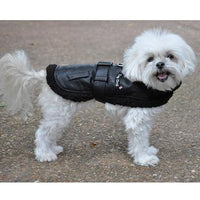 Top Dog Flight Harness Coat by Doggie Design - Black
