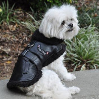 Top Dog Flight Harness Coat by Doggie Design - Black
