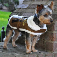 Brown and Black Faux Leather Bomber Dog Coat and Leash
