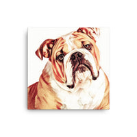 Bulldog Canvas Art
