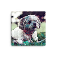 Shih Tzu Pup Canvas Art
