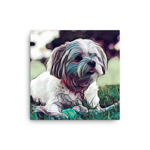 Shih Tzu Pup Canvas Art