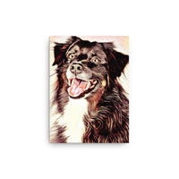 A Beautiful Border Collie Canvas Art
