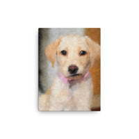 Bewildered Cream Lab Puppy Canvas Art
