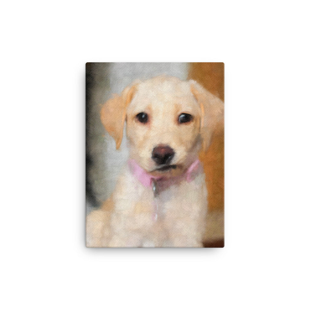 Bewildered Cream Lab Puppy Canvas Art