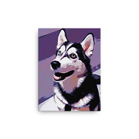 Handsome Husky Canvas Art
