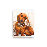 Delightful Dachshund Canvas Art
