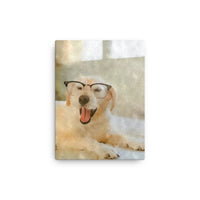 Scholarly Dog With Glasses Canvas Art
