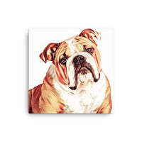 Bulldog Canvas Art
