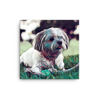 Shih Tzu Pup Canvas Art
