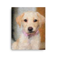 Bewildered Cream Lab Puppy Canvas Art
