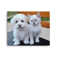 Maltese Puppy and White Kitten Canvas Art
