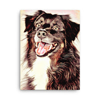 A Beautiful Border Collie Canvas Art
