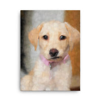 Bewildered Cream Lab Puppy Canvas Art
