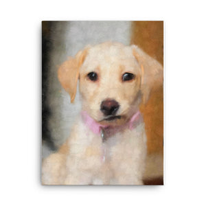 Bewildered Cream Lab Puppy Canvas Art