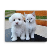 Maltese Puppy and White Kitten Canvas Art
