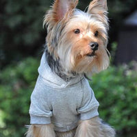 Flex-Fit Dog Hoodie Sweater - Gray
