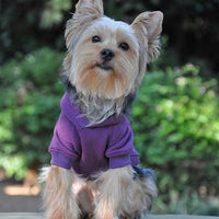 Flex-Fit Dog Hoodie Sweater - Purple
