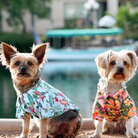 Hawaiian Camp Shirt - Sunset Hibiscus
