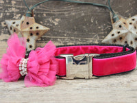 Bardot Pink Velvet Dog Collar with Silver Metal Buckle
