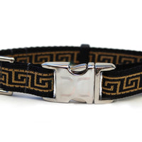 Caesar Dog Collar with Silver Metal Buckle