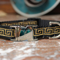 Caesar Dog Collar with Silver Metal Buckle