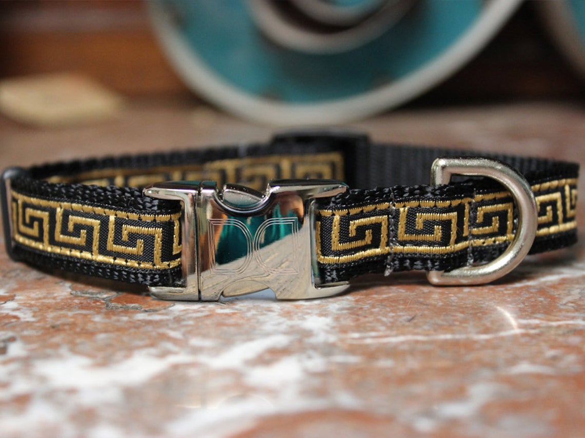 Greek key hot sale dog collar