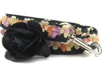 Coco Maize Dog Collars with Silver Metal Buckle
