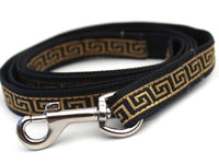 Caesar Dog Collar with Silver Metal Buckle
