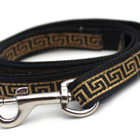 Caesar Dog Collar with Silver Metal Buckle
