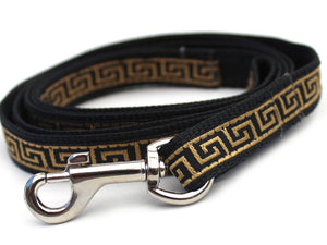 Caesar Dog Collar with Silver Metal Buckle