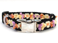 Coco Maize Dog Collars with Silver Metal Buckle
