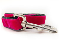 Kashmir Medina Spice Extra Wide Dog Collar with Silver Metal Buckle
