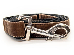 Duchess Extra Wide Dog Collar with Silver Metal Buckle